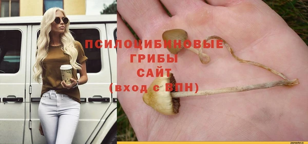 первитин Армянск