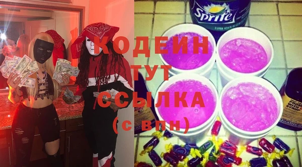 хмурый Арсеньев