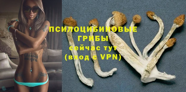 первитин Армянск