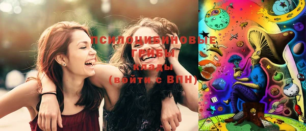 хмурый Арсеньев