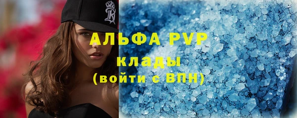 хмурый Арсеньев