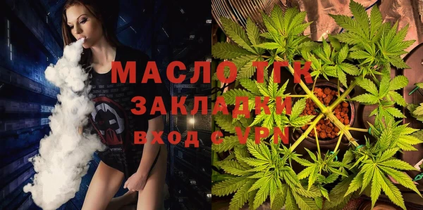 хмурый Арсеньев
