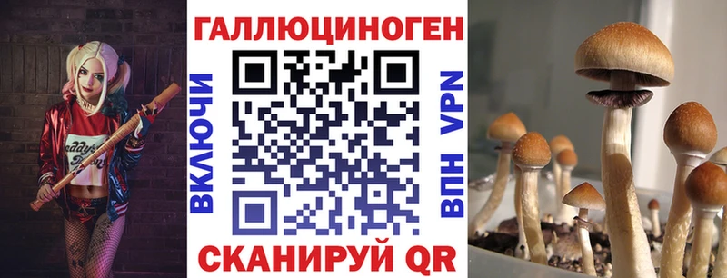 где купить   мега рабочий сайт  Галлюциногенные грибы Psilocybe  Орёл 